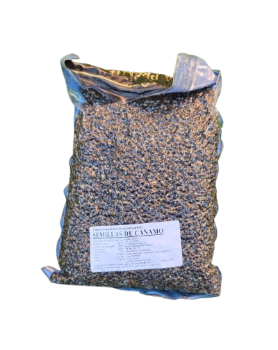 Hemp Quality Seeds