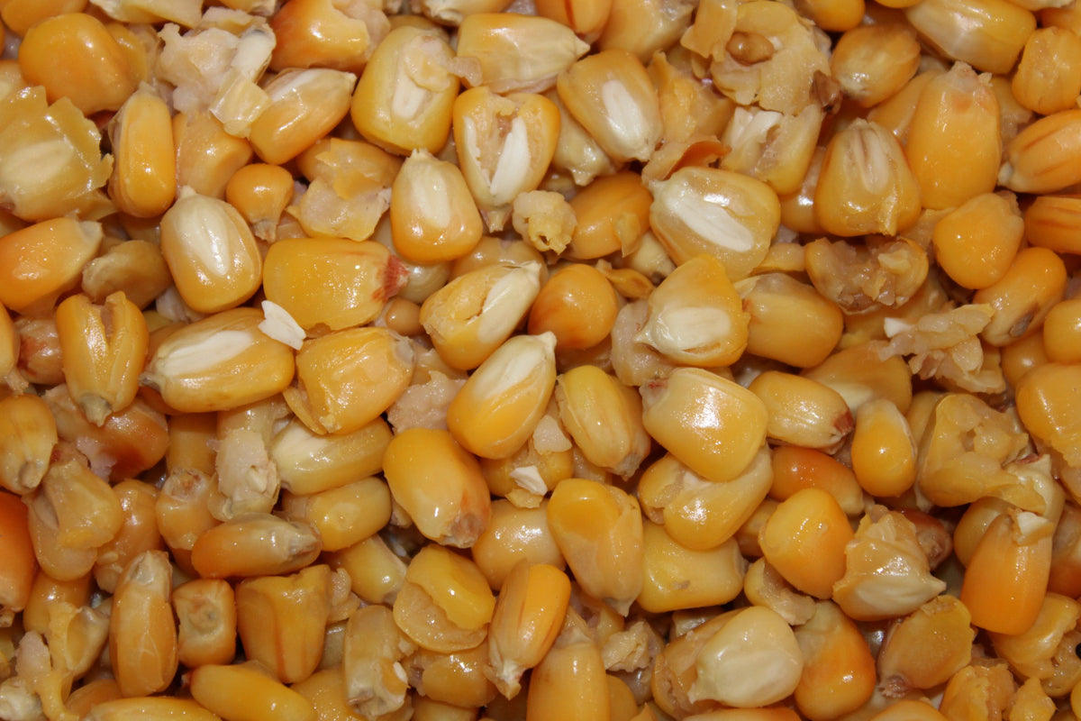 Semillas Pro Elite Baits Cooked Particles Maize 1000 Gr