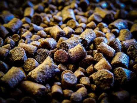 Pellets Spod Mix Pro Elite Baits Squid Octopus 8 mm - Tienda Carpfishing