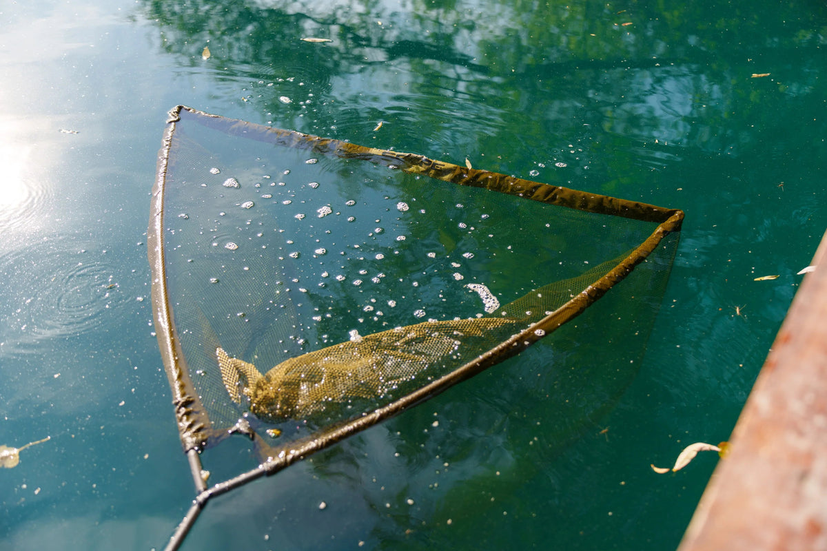Landing net Nash Scope OPS Retract 42" 2 Sections