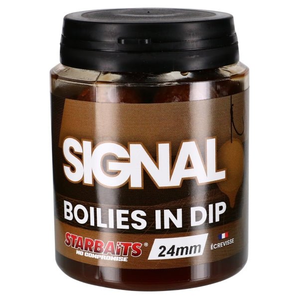 Boilies in Dip Starbaits Signal 24 mm - Tienda Carpfishing