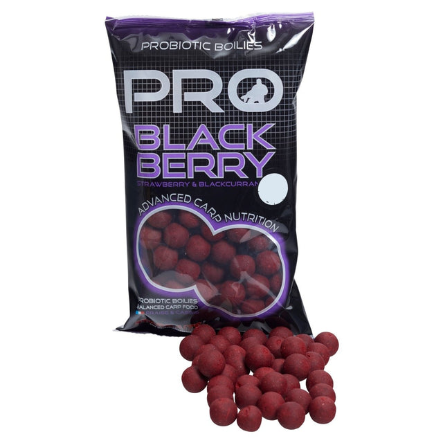 Boilies Starbaits Probiotic BlackBerry 24 mm - Tienda Carpfishing