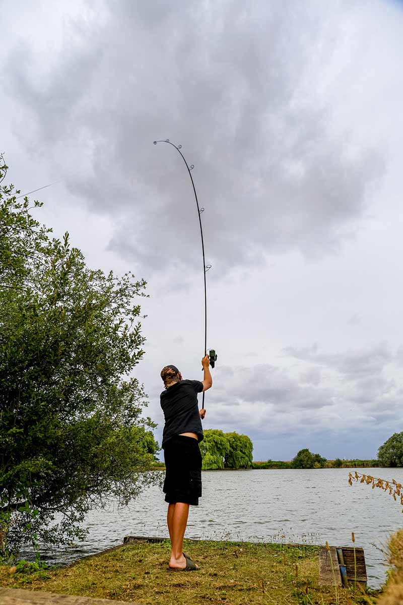 Caña Fox Horizon X5 Black 12 pies 3,5 lb - Tienda Carpfishing