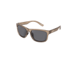 Gafas de sol polarizadas Avid Carp SeeThru Prism - Tienda Carpfishing