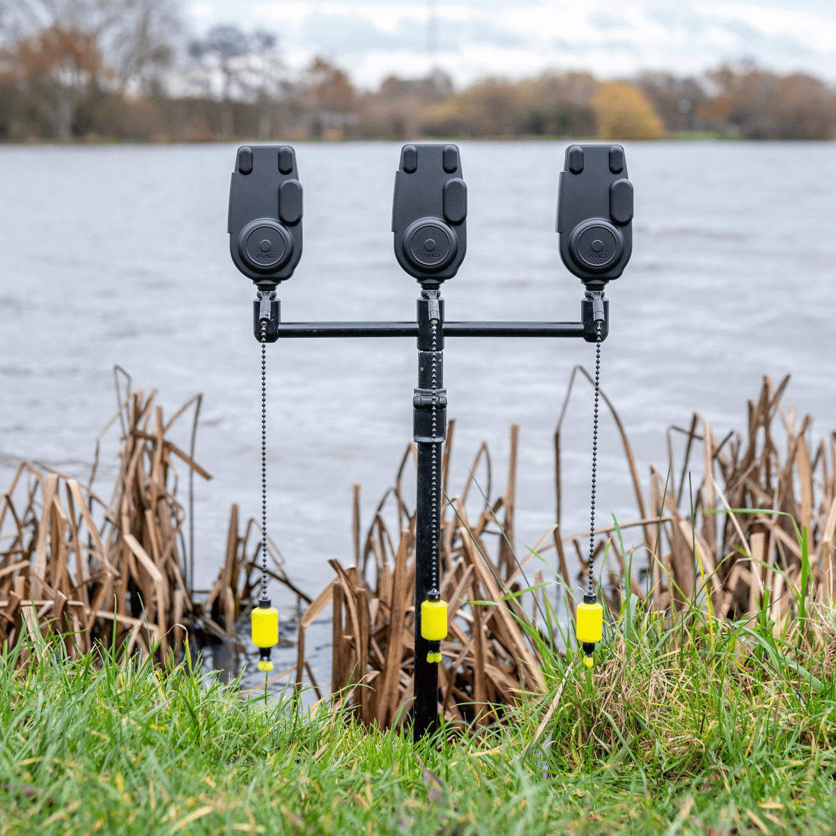 Set de alarmas 2+1 Avid Carp VTX - Tienda Carpfishing