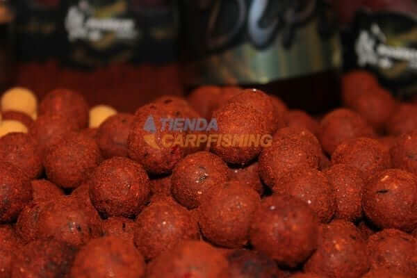 boilies robin red gold poisson fenag