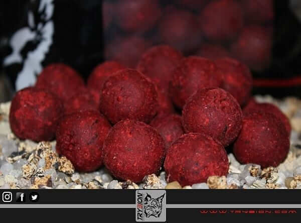 boilies trybion cyprinus max