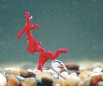 gusanos sangre enterprise 1