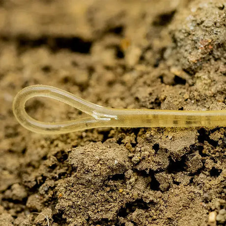 Puente OMC Blend Fused QC 40 Ib 6