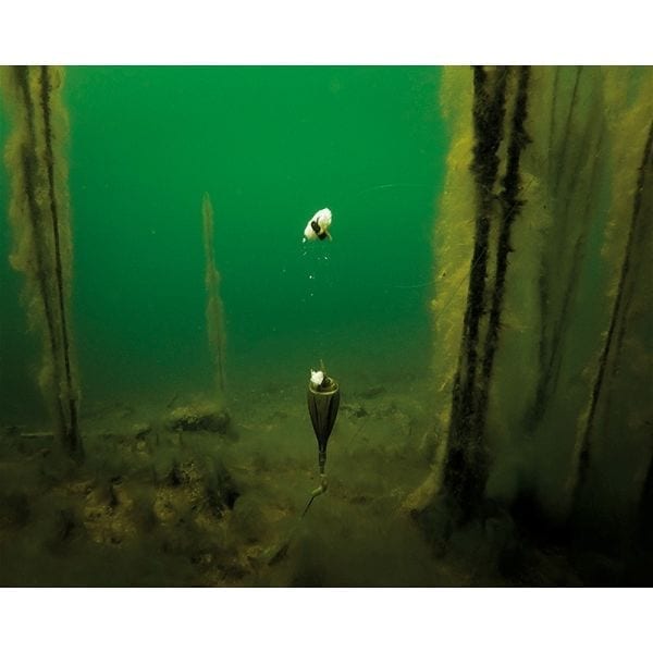 korda zig kit medium 1