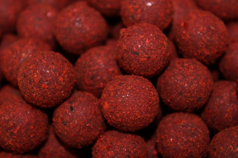Boilies Pro Elite Baits Gold Robin Red 24 mm - Tienda Carpfishing