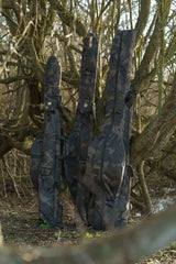 Cañero Solar Worldwide 3+ 12ft