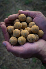 Boilies Solubles Pro Elite Baits Pineapple Scopex 20 mm 3.5 Kg