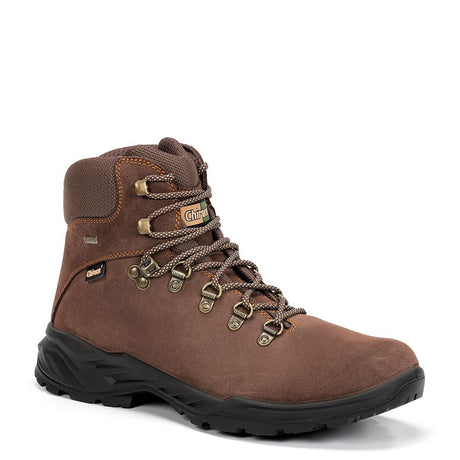 Boots Chiruca Pointer 02 Gore-Tex Brown