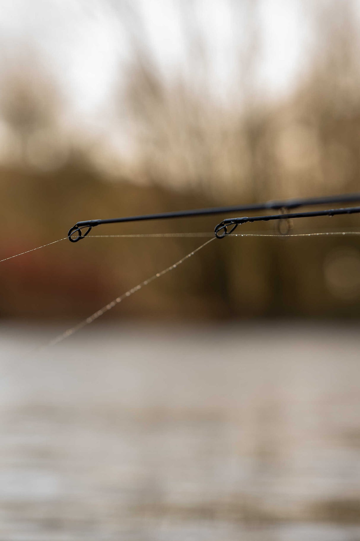 rod Avid Carp Revolve 12 ft 3.0 lb