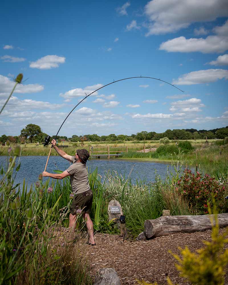 rod Fox Horizon X3-S 12 ft 3.50 lb