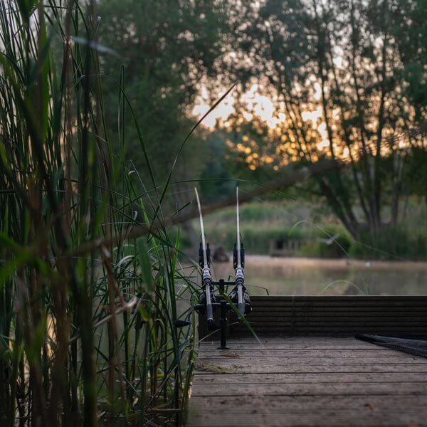 rod Nash Scope Black OPS 10 ft 3 lb