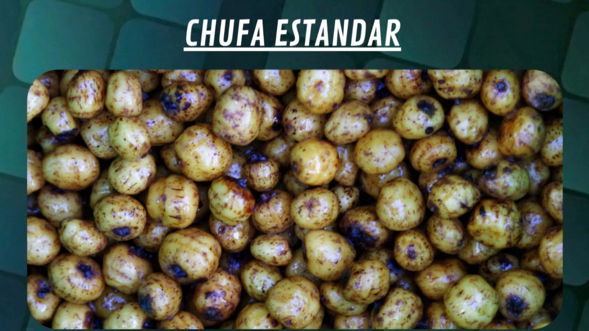 Chufas Quality Seeds Estándar 5 kg