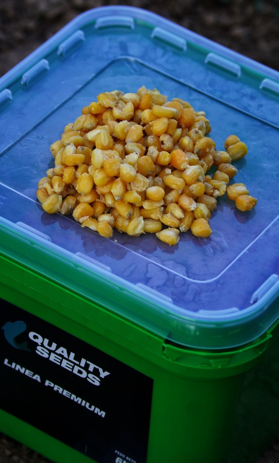 Corn Bucket Quality Seeds Yellow 6kg