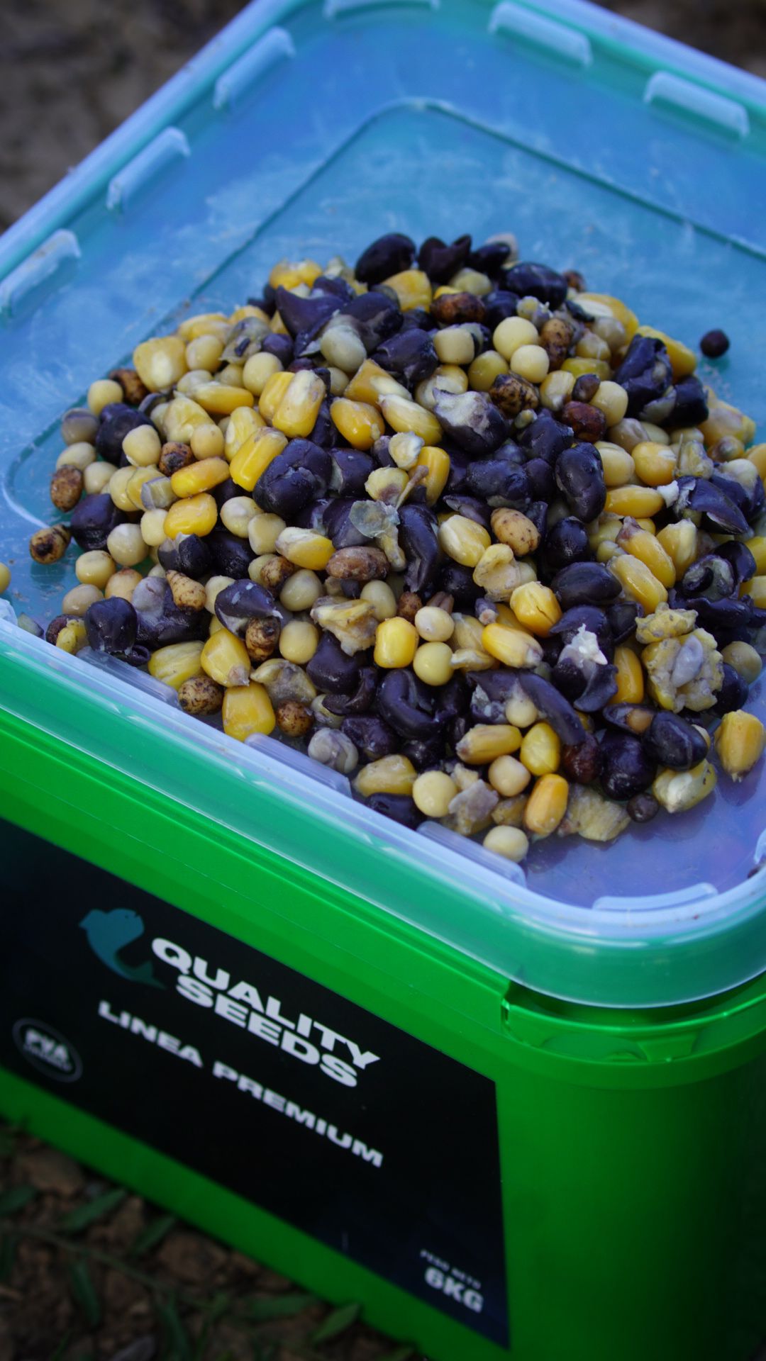 Seed Mix Cube Quality Seeds Classic 6kg