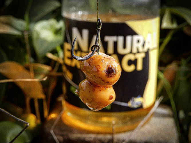 Excerpt Pro Elite Baits Betaine 500 ml