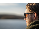 Sunglasses polarized sunglasses Avid Carp Classic