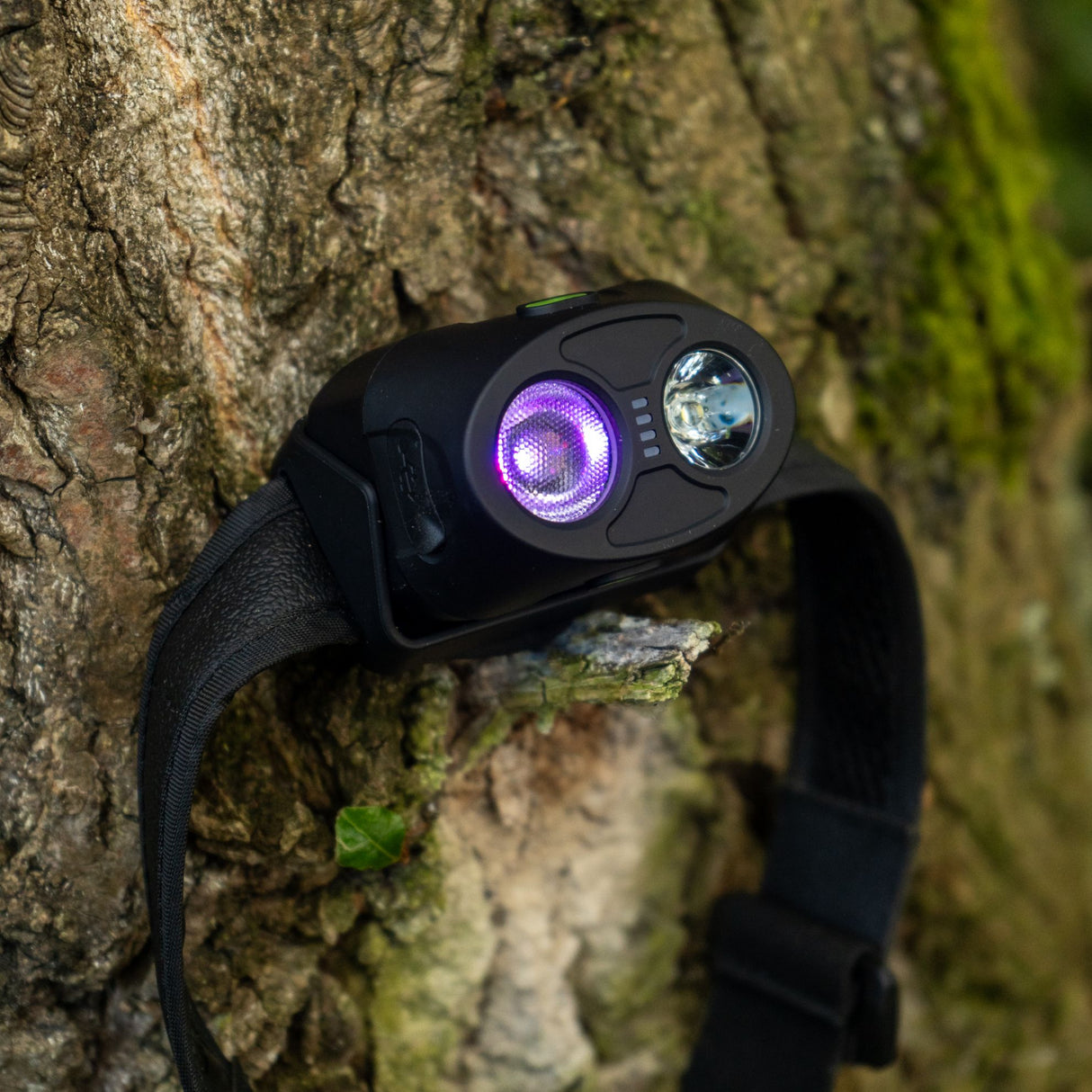 Headlamp Ridge Monkey VRH300X Pro