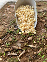 White Corn Particles For Fishing 3 kg