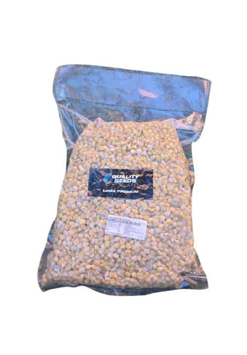 Corn Quality Seeds White 5kg