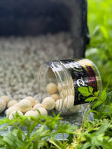 Session Pack Pro Elite Baits Gold Bloody Mulberry Special Edition White