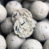 Session Pack Pro Elite Baits Pineapple Scopex White
