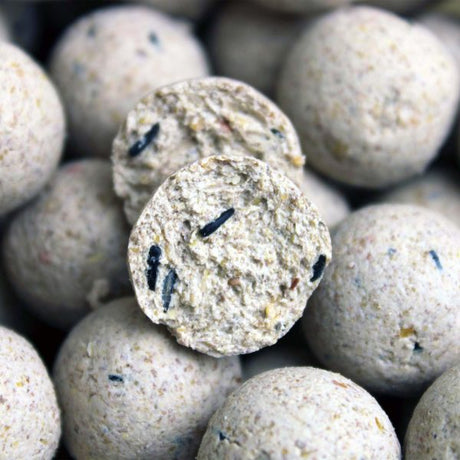 Session Pack Pro Elite Baits Pineapple Scopex White