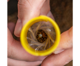 Bag making system pva Avid Carp