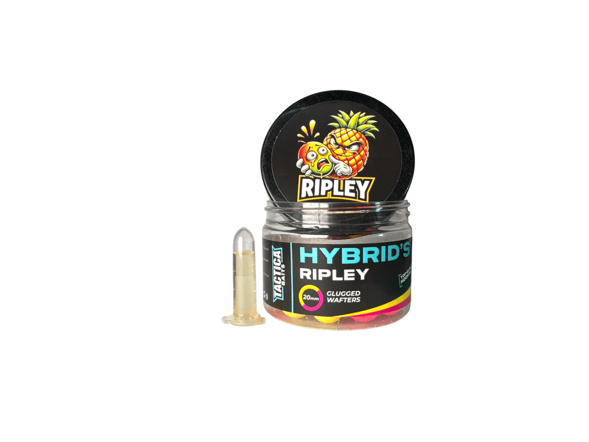 Wafters Tactica Baits Hybrids Ripley 15 mm
