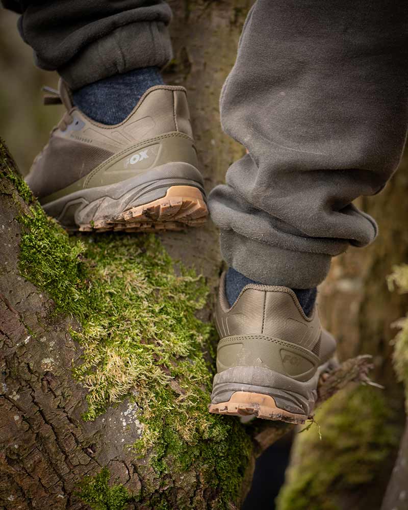 Sneakers Fox Explorer Trainer