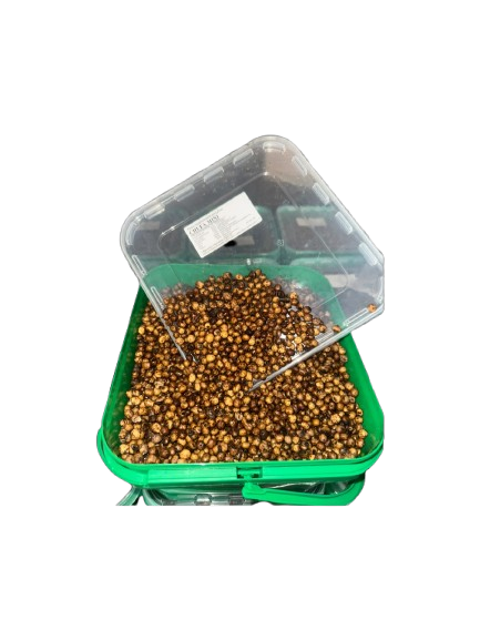 Chufas Quality Seeds Mini 5 kg - Tienda Carpfishing