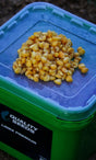 Cubo Maiz Quality Seeds Amarillo 6 kg - Tienda Carpfishing