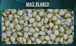 Cubo Maiz Quality Seeds Blanco 6 kg - Tienda Carpfishing