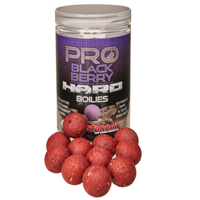 Hard Boilies Starbaits Probiotic Blackerry 24 mm - Tienda Carpfishing