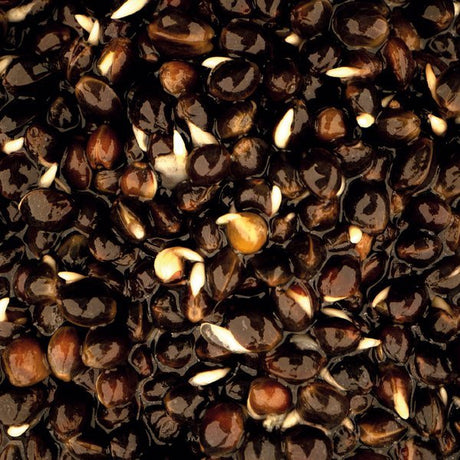 Mix Cañamon Nash - 2,5 L - Tienda Carpfishing