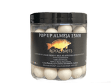 Pop Up Royal Baits Almeja 15 mm - Tienda Carpfishing
