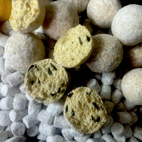 Session Pack Pro Elite Baits Gold Sweet Dreams Special Edition White - Tienda Carpfishing