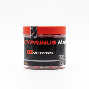 Wafters Trybion Cyprinus Max 24 mm - Tienda Carpfishing