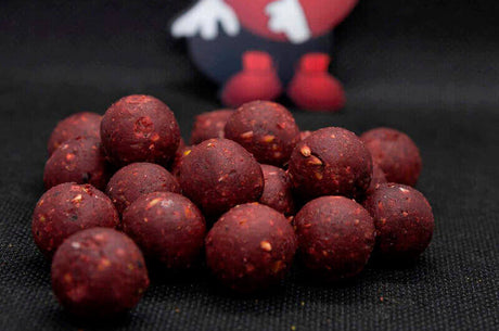 Boilies Dudi Bait Forest Squid 1