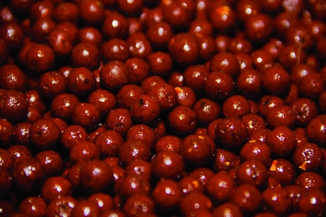 Boilies Dynamite Baits Source 12 mm 2