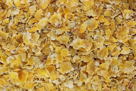 Corn Flakes poisson fenag pro elite baits (3)