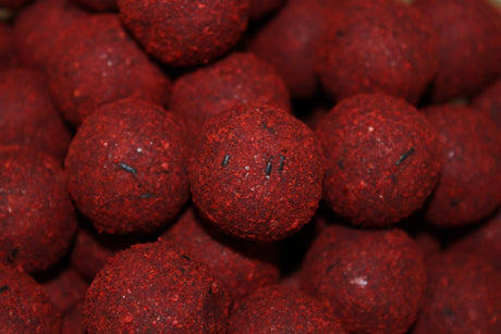 Cubo Pro Elite Baits Boilies Gold Robin Red 5 kg – 20 mm 3