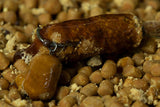 Dip Sticky Manilla 3