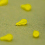 Hook Bead OMC Dazzlers Cornello Distance 4