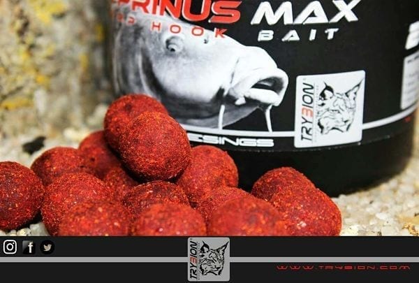 Hook baits cyprinus max trybion